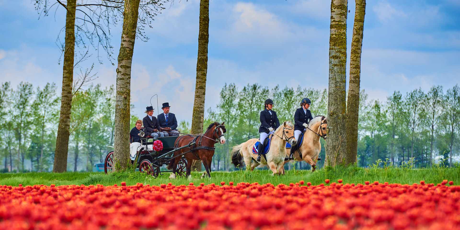 © Pim van der Maden © Pim van der Maden