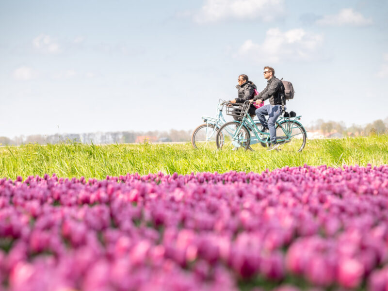 202204_Tulpen_Festival_StEP_Web-Sjors_Evers-105 202204_Tulpen_Festival_StEP_Web-Sjors_Evers-105