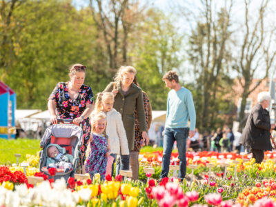 Standort des Tulpenfestes: Tulpenerlebnisfeld