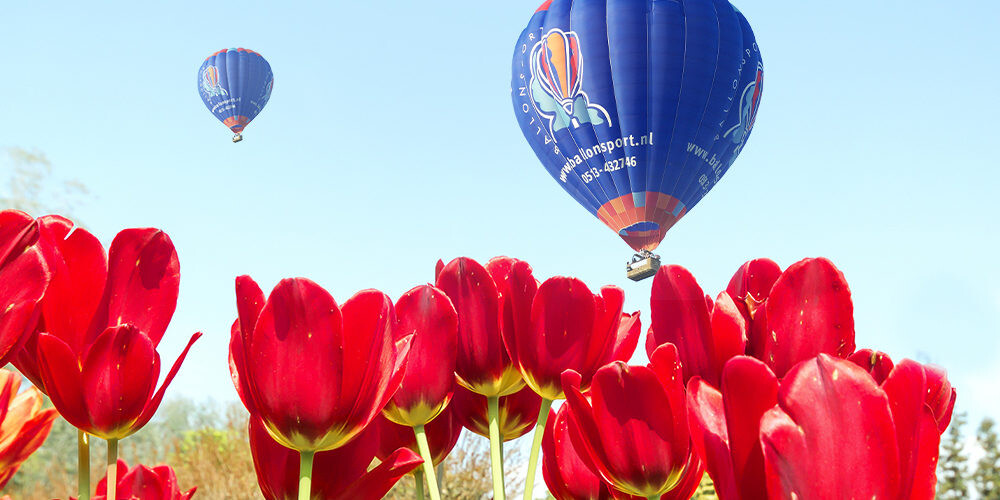 JPH_Tulpenfestival_Headerafbeelding_1200-500px