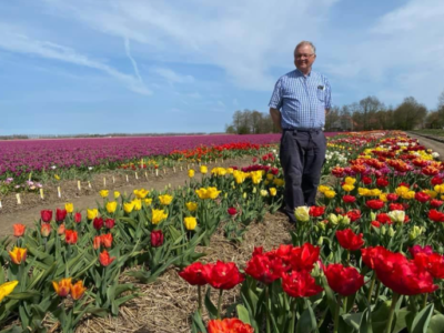 Garten der Tulpenarten von Henk van Drie