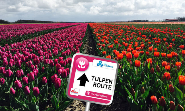 Tulpenfestival route