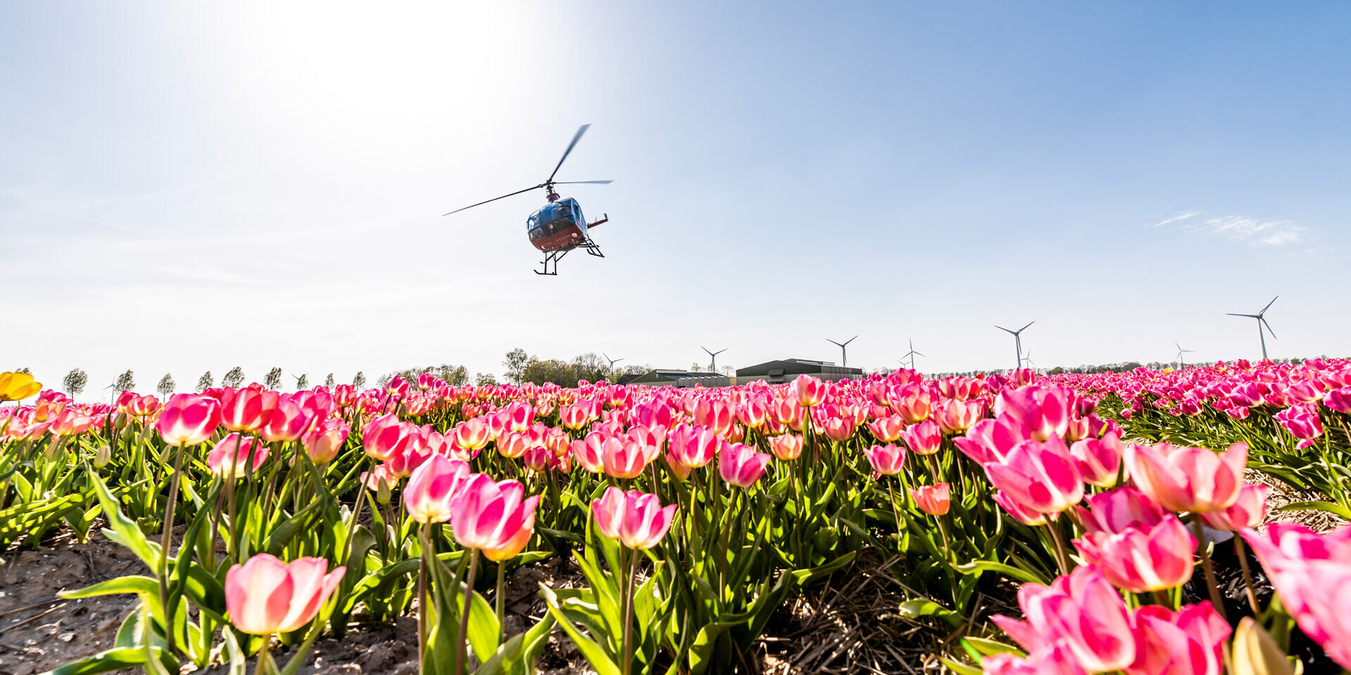 2019_Tulpenfestival_Highres-71