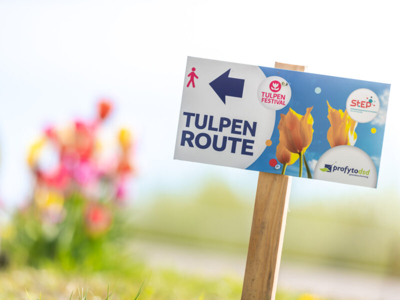 2023_Tulpenfestival_StEP_Web-Sjors_Evers-108 2023_Tulpenfestival_StEP_Web-Sjors_Evers-108