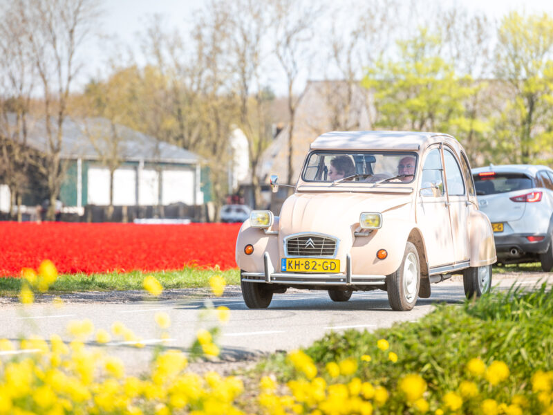 2023_Tulpenfestival_StEP_Web-Sjors_Evers-12 2023_Tulpenfestival_StEP_Web-Sjors_Evers-12