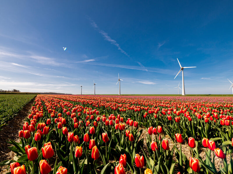 TF Sjors_Evers-251 TF Sjors_Evers-251