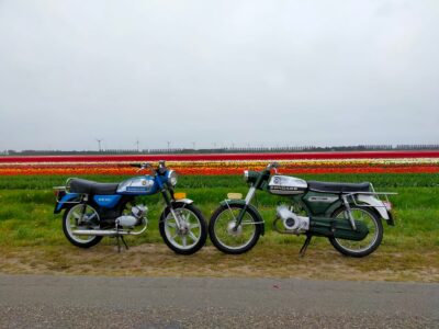 On a moped along the tulips!