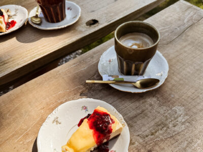 Coffee shop with tulip picking garden - Zuiderkrib