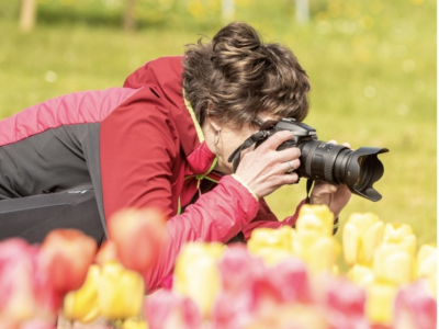 Win a place on our Tulip Festival Calendar 2026!